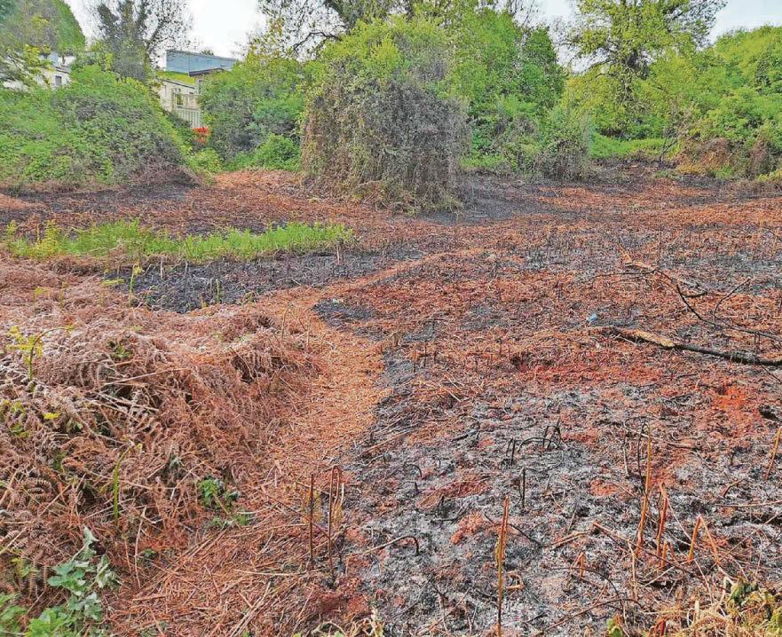 Residents' fears sparked as fires started close to homes