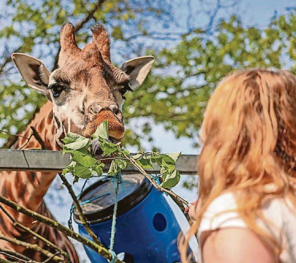 Backlash after zoo introduces entry fee for toddlers