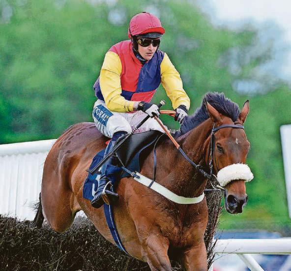 Investment Manager features at NA All About The Horse Family Day