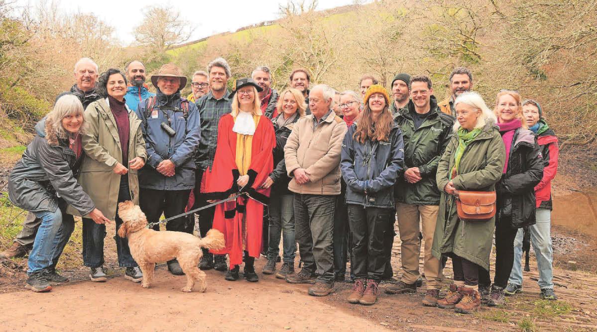 'Back of the queue' moor likely to stay digital desert for years to come