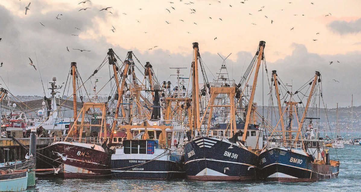 Bumper catch for council as fish toll revenue exceeds estimates