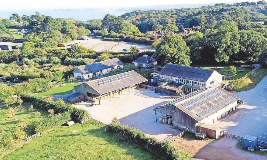 Fears over what future may hold for beloved green spaces in Torbay