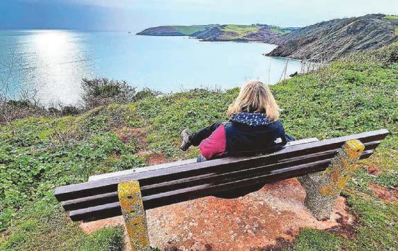 Call for council to think again on controversial memorial bench policy
