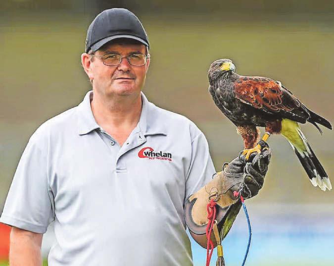 Torquay United seeks new signing with aerial threat