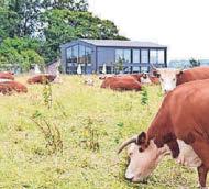 Farm restaurant earns special meat award