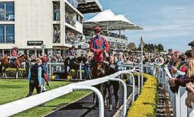 Racecourse's summer of sport and music