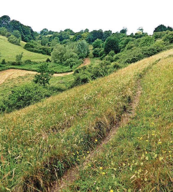 Sherston & the Southwolds