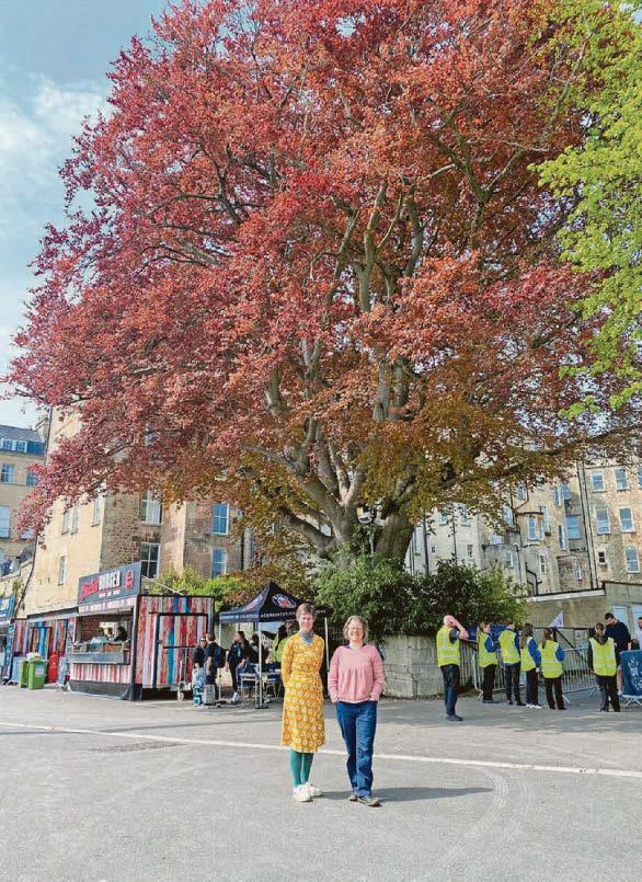 Stadium plan to 'protect' beloved tree