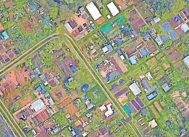 Allotments under threat as owner wants to sell up