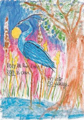 Art competition entries highlight plight of rivers