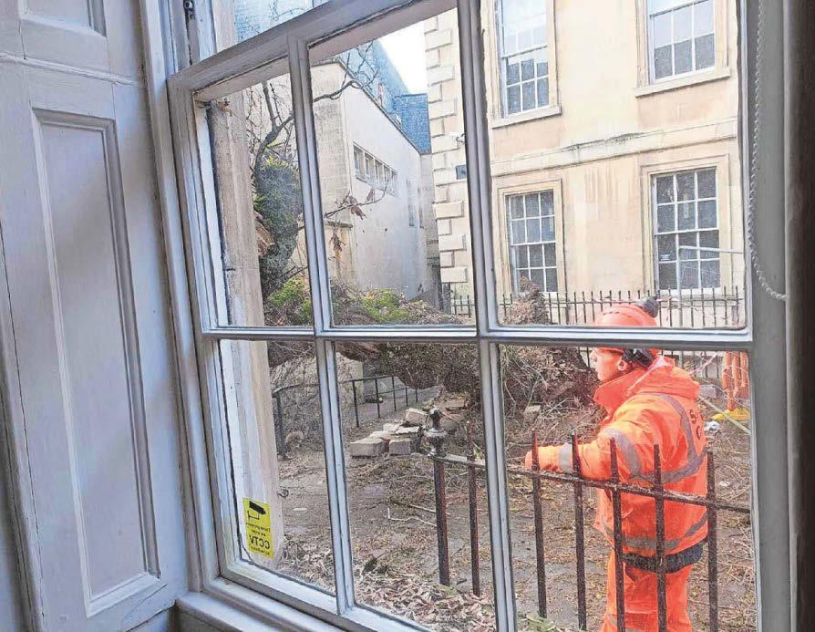 Couple tell of their relief after falling tree drama