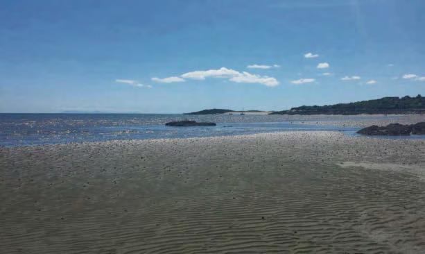 Top marks for two of region's beaches