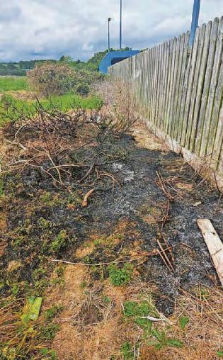 Disappointment as firebugs target ground