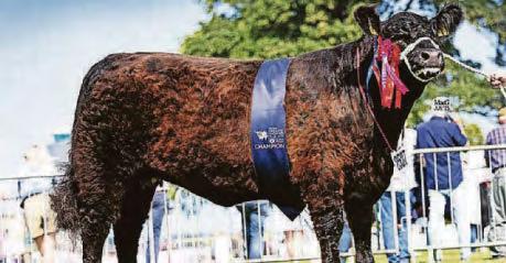 Ninth celebration for Ramsay family