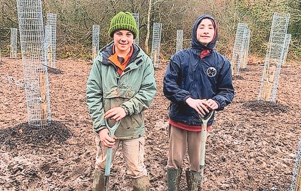 Your Forest for Cornwall keeps growing
