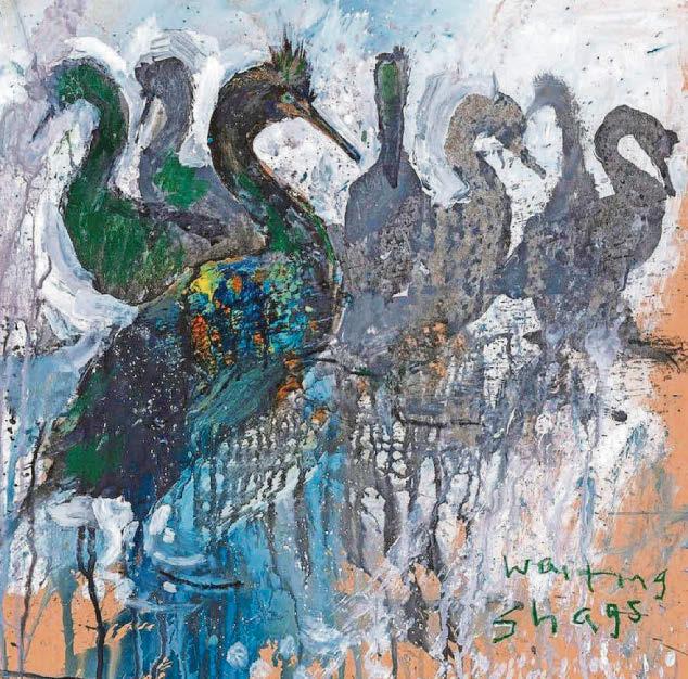 Cornwall's birdlife inspires gallery's latest exhibition