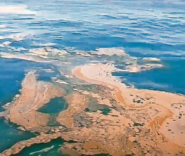 Waste in bay identified as algal bloom by EA officers