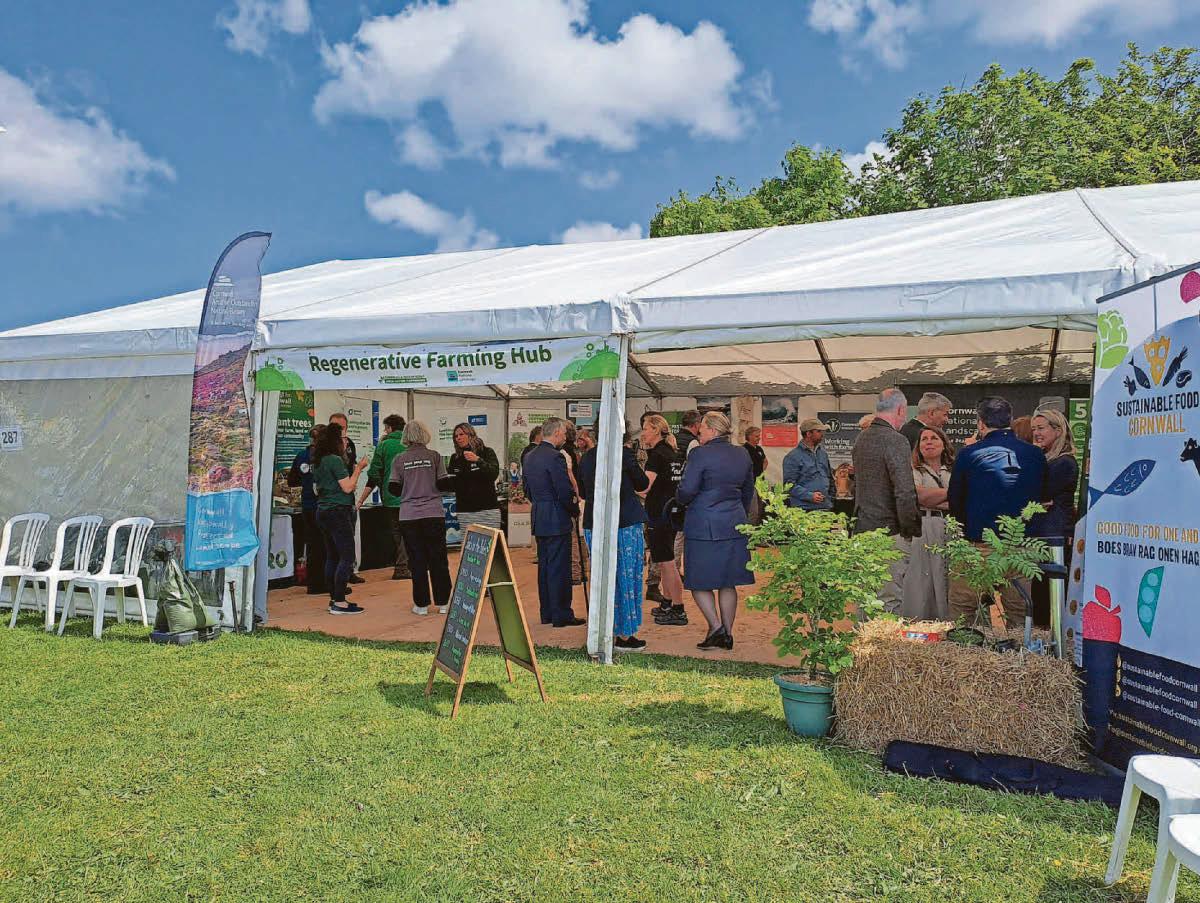 Celebrating Cornwall's iconic landscapes at show