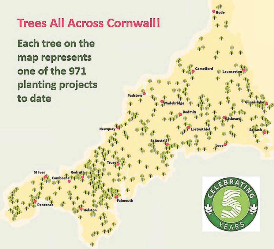 Forest for Cornwall celebrates five years of planting trees to help benefit communities