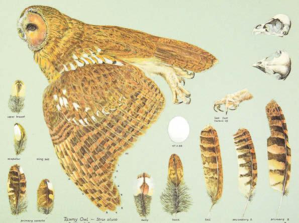 Works sold for trust artist founded