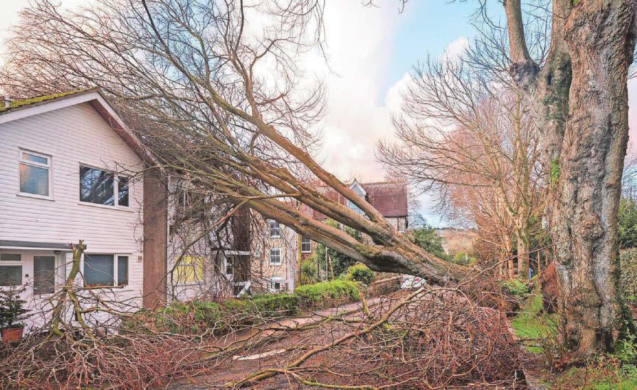 Scenes of devastation after Storm Goretti ripped through Cornwall