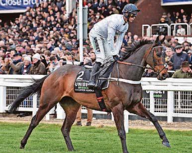 HILL MAY TRY TO GET BACK ON THE RISE AT AINTREE