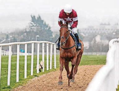 Hannon is plotting another Aram raid at Southwell with improving young speedster