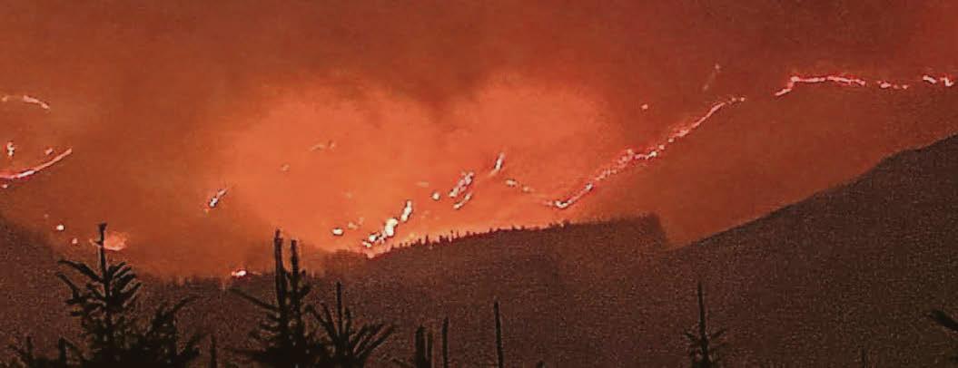 WILDFIRE ALARM