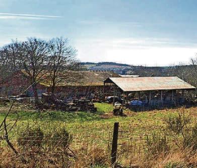 FIGHT FOR MILLIONAIRE FARMER'S ESTATE
