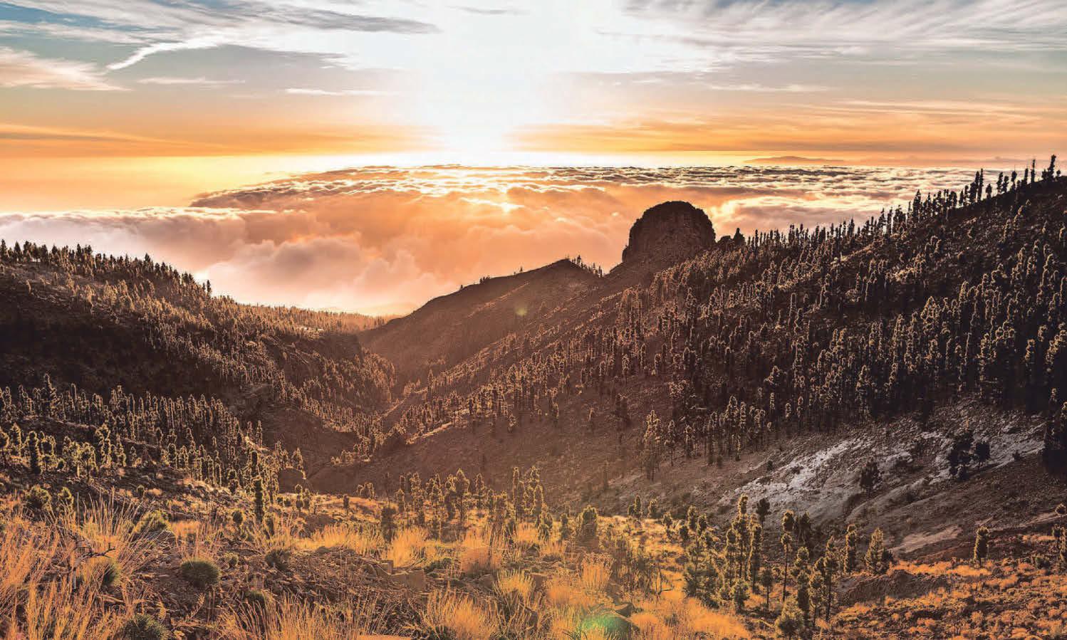 Winter warmer getaways