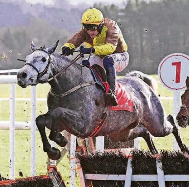 Forez can root out his rivals for Hammond in Sedgefield showdown