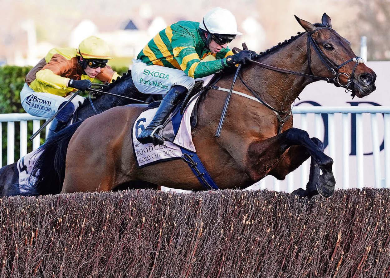 THE CHELTENHAM BRAZIL