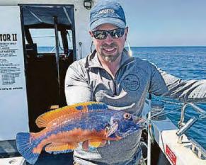 Wrasse in the wrecks: Summer sea sport gets underway