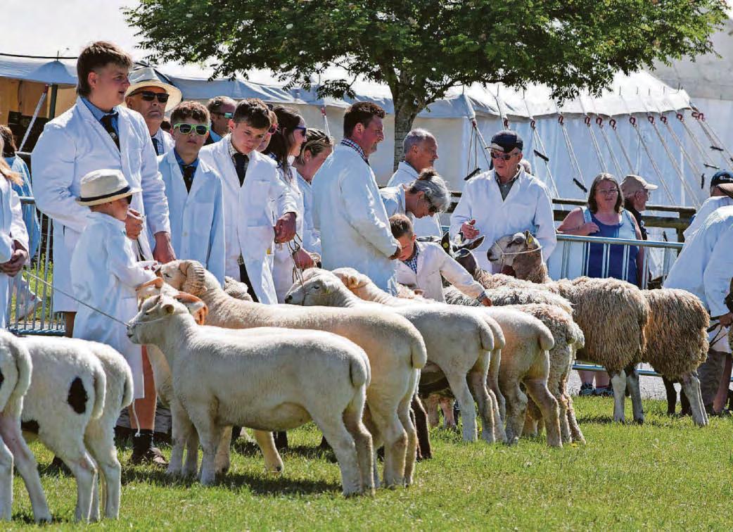 Record-breaking county show after celebration of rural life