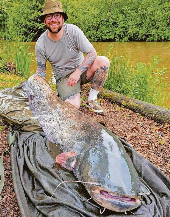 Anglers Paradise records as biggest catfish ever are tempted