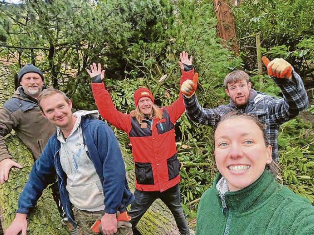 Tourist attraction back in action after restoration following storm damage