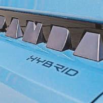 STYLE AND FLAIR IN PANDA LAND