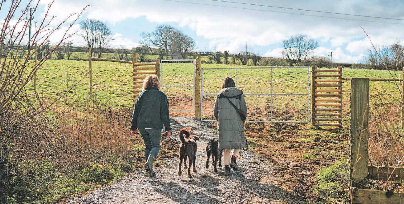 New dog walking meadow helps raise funds for hospice