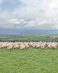 Family reaping the rewards of switching to low-cost system