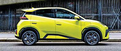 Spot the Dolphin on your driveway