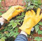 Cast the plastic aside