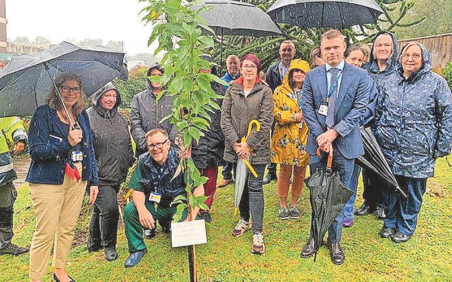 Symbol of toll taken on health care staff
