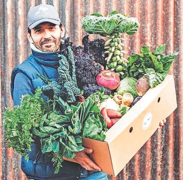 Farm produce company makes appeal to help it keep going after downturn