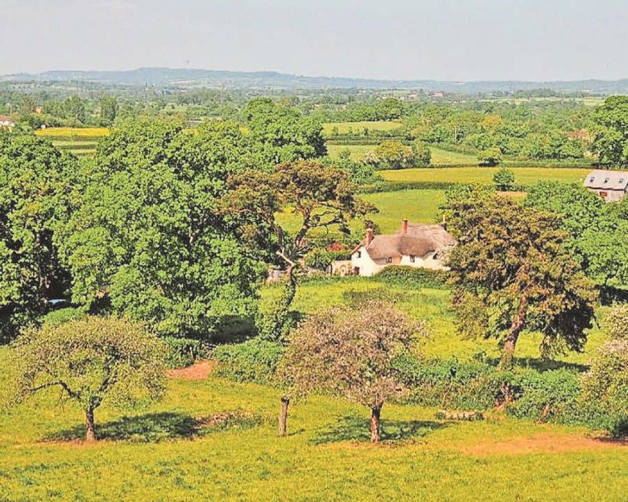 £1.1m funding for nature reserve is 'not good value for money' claim