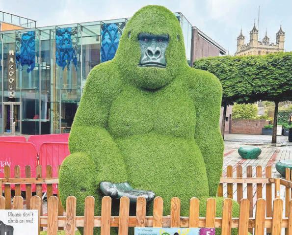 Free animal sculpture trail unveiled in city centre