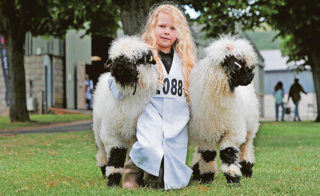 Farming charm Annual show attracts the best of life in country