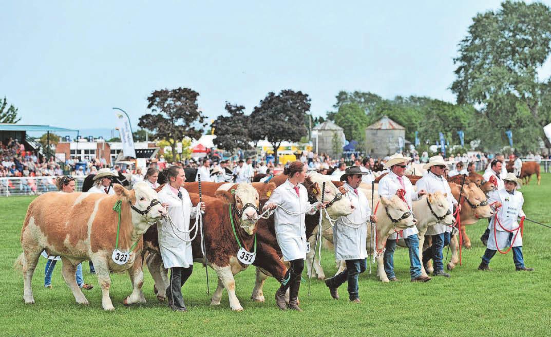 It's show time 92,000 flock to countryside celebration