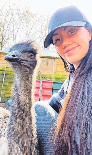 From eBay to emu Musician raises bird after late-night buy