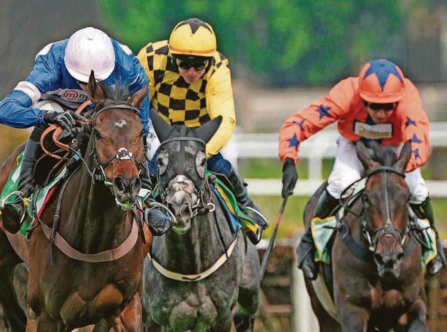 Nicholls vows to return stronger after century miss