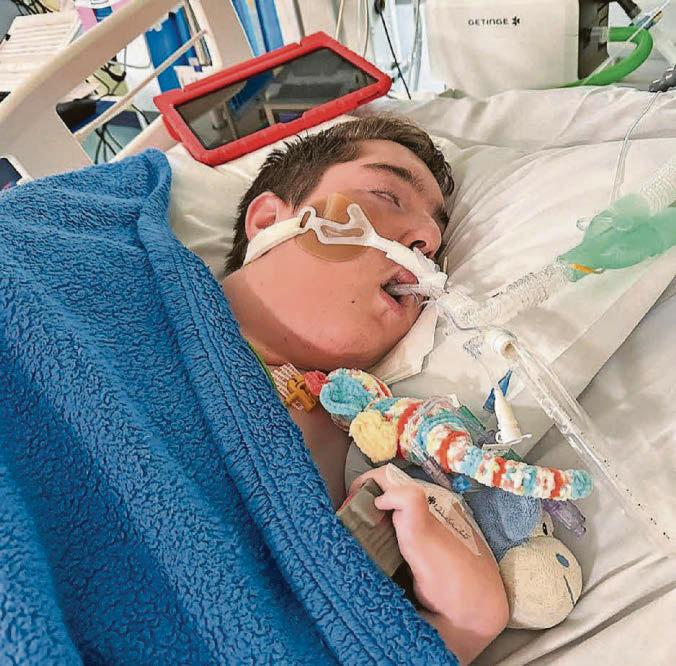 To the thief it was just a van, but to a family battling to preserve their son’s dignity its loss is a cruel blow